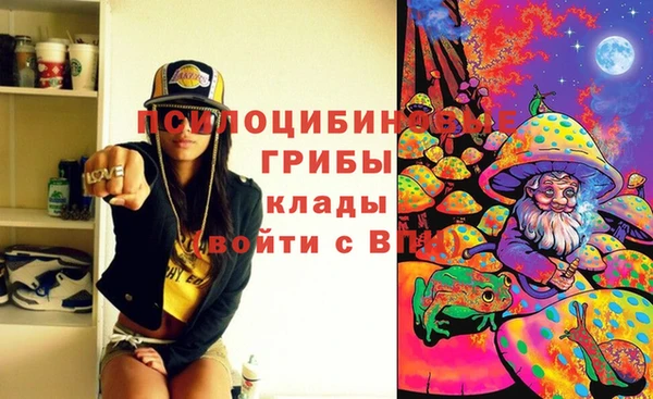 бутират Белокуриха