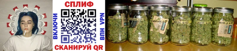 где купить наркоту  Салаир  Бошки Шишки THC 21% 